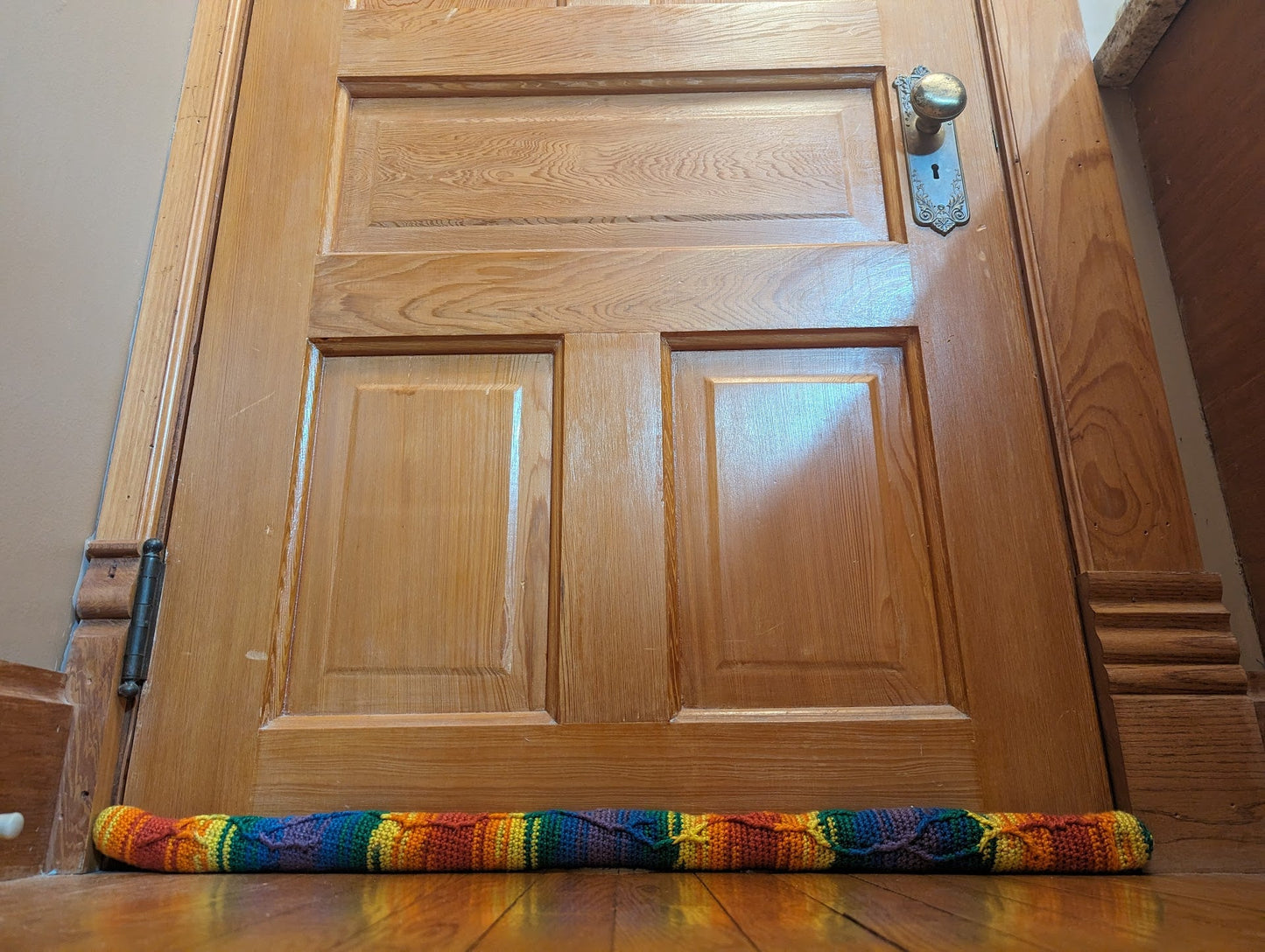 CROCHET PATTERN ONLY Veiny Door Draft Blocker Rainbow Dong